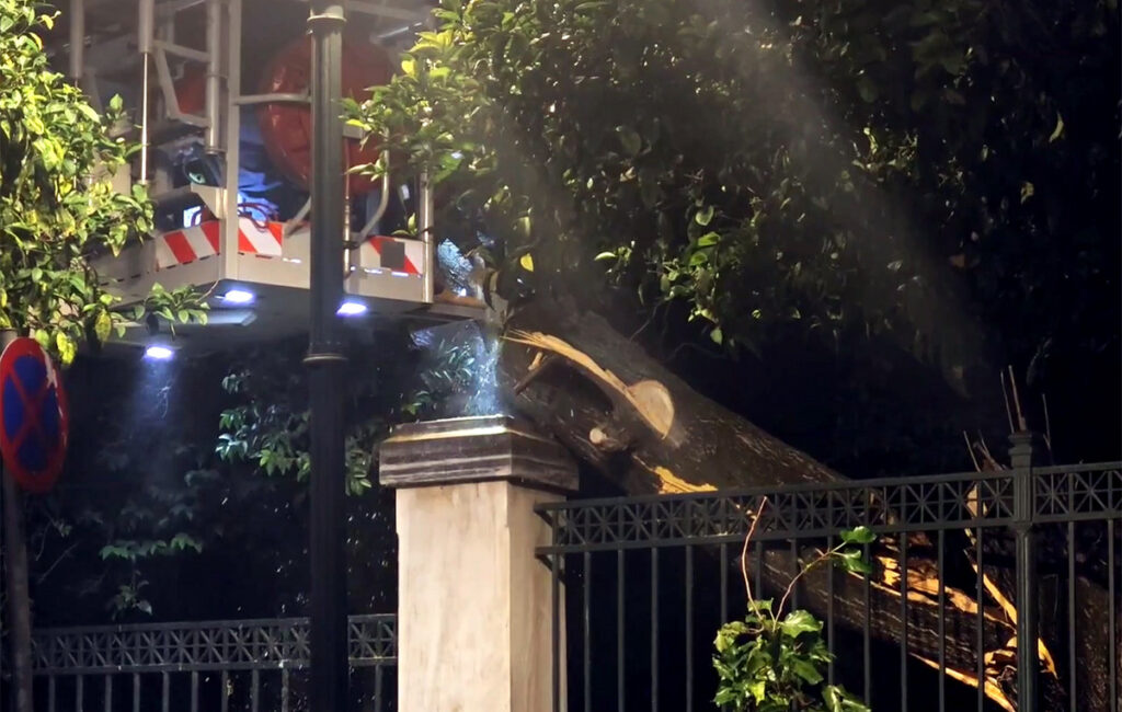 Έπεσε δέντρο κοντά στο Μέγαρο Μαξίμου – Διακοπή κυκλοφορίας στην Ηρώδου Αττικού