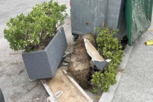 Θεσσαλονίκη: Στο Αυτόφωρο ο μεθυσμένος οδηγός που «εισέβαλε» με το ΙΧ του σε κατάστημα εστίασης